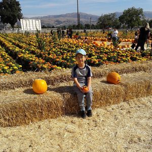 Meet your Posher, Son